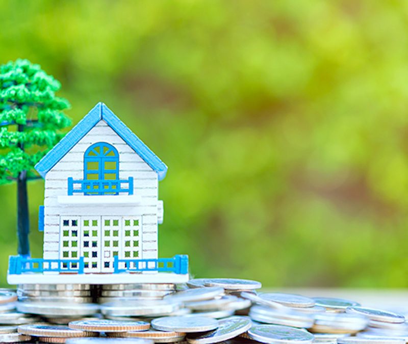 tiny blue and white house with green background